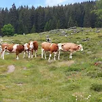 Alpen Quartier Uderns