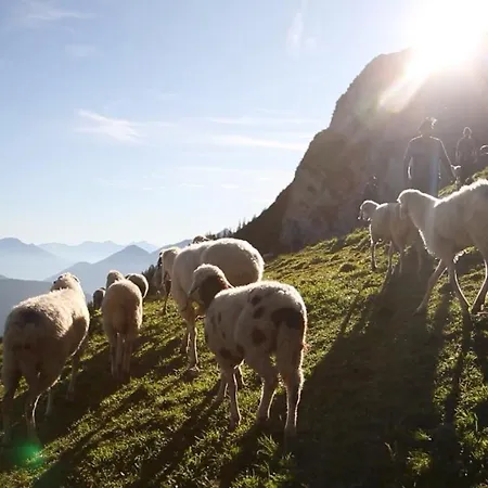 Alpen Quartier