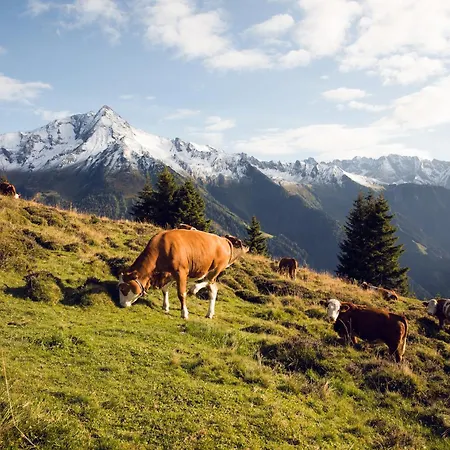 Alpen Quartier * Uderns