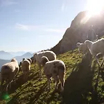 Alpen Quartier
