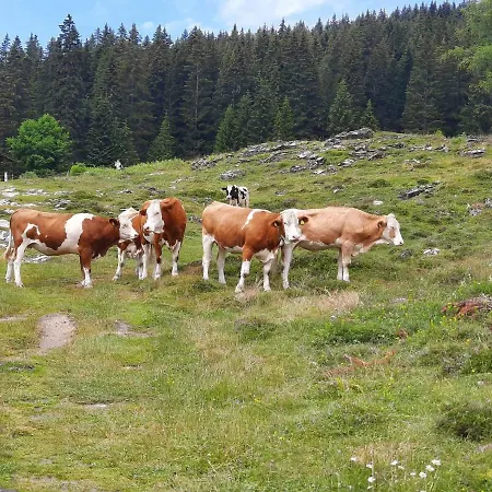 Alpen Quartier Uderns