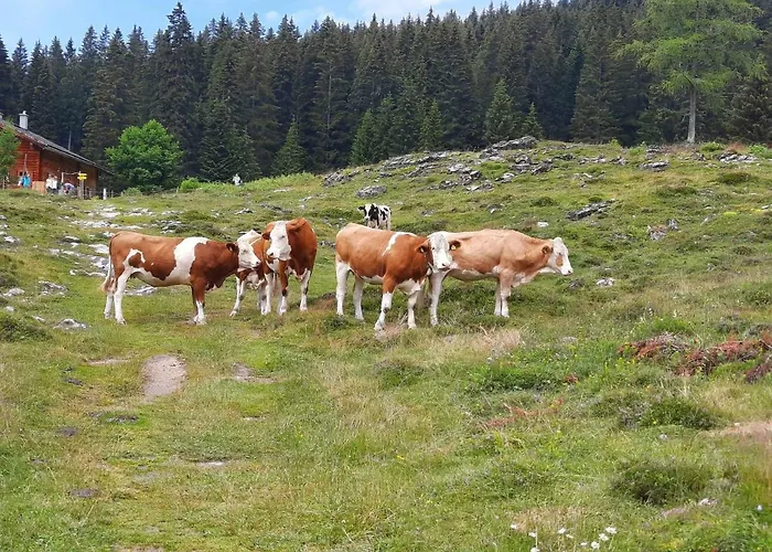 Alpen Quartier Uderns