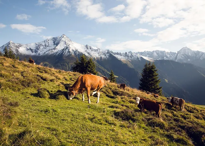 Alpen Quartier * Uderns